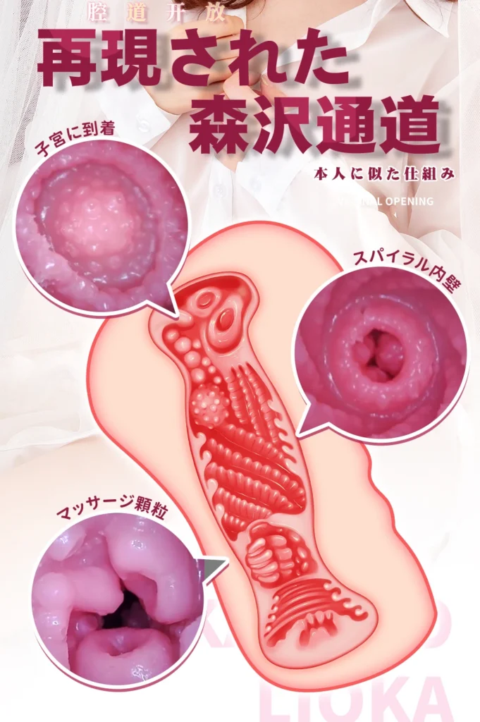 森泽名器翻新_06