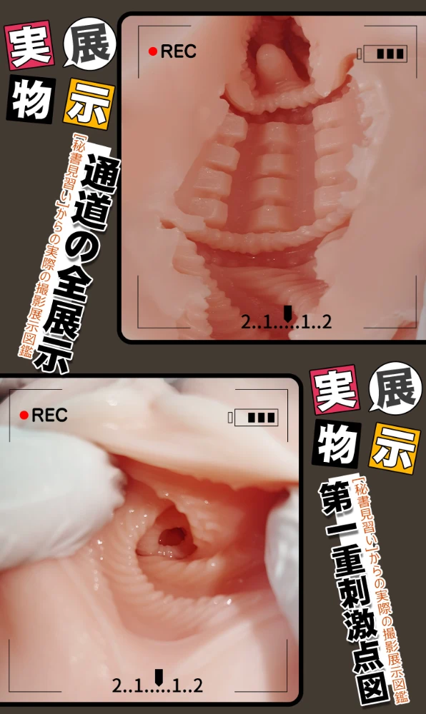 见习秘书日语详情(1)_13