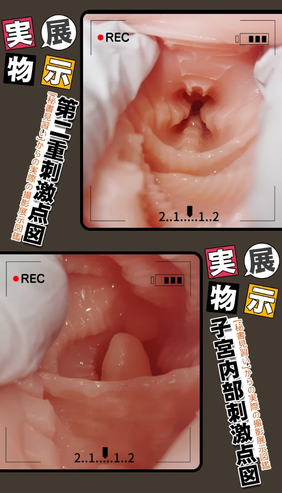见习秘书日语详情(1)_14